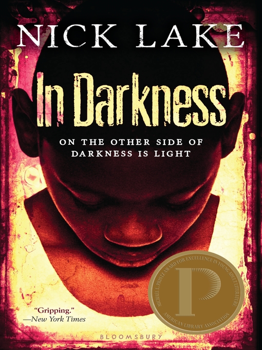 Title details for In Darkness by Nick Lake - Wait list